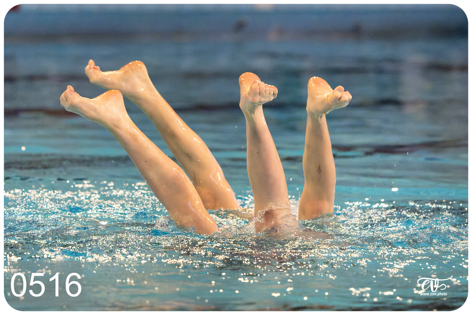 CHAMPIONNAT DE FRANCE DE NATATiON ARTISTIQUE N1 & ELITE 2026